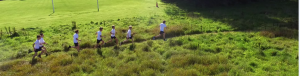 cross country 2