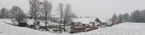 winter