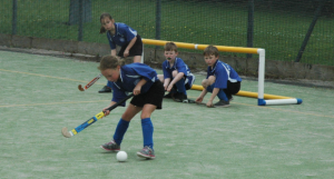 Capture hockey 2