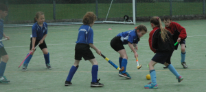hockey capture