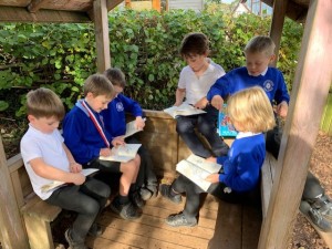 year 2 readers
