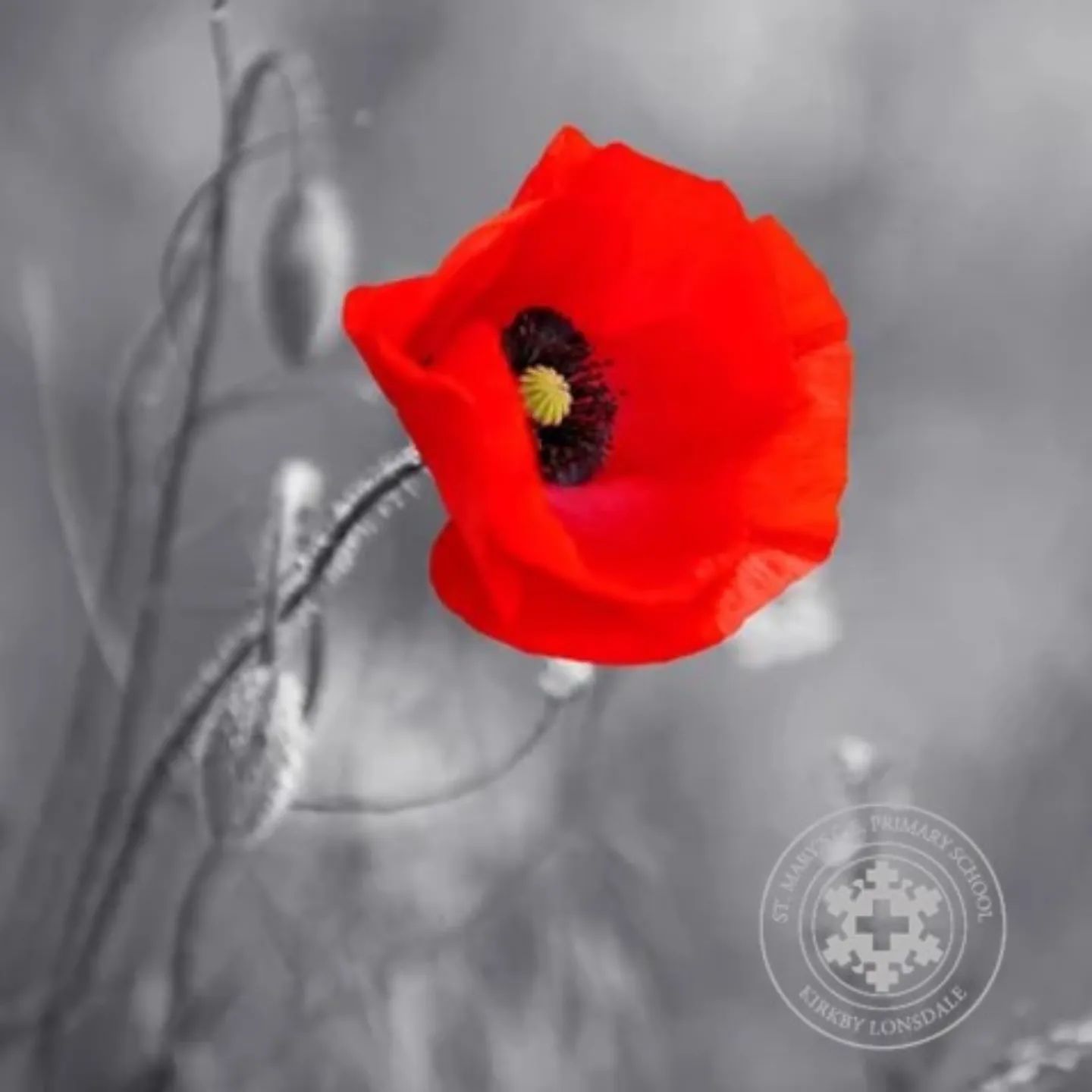 We will remember.